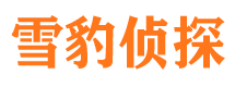 迎江外遇调查取证